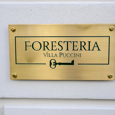 Foresteria Villa Puccini Casa Per Ferie Torre del Lago Puccini Ngoại thất bức ảnh